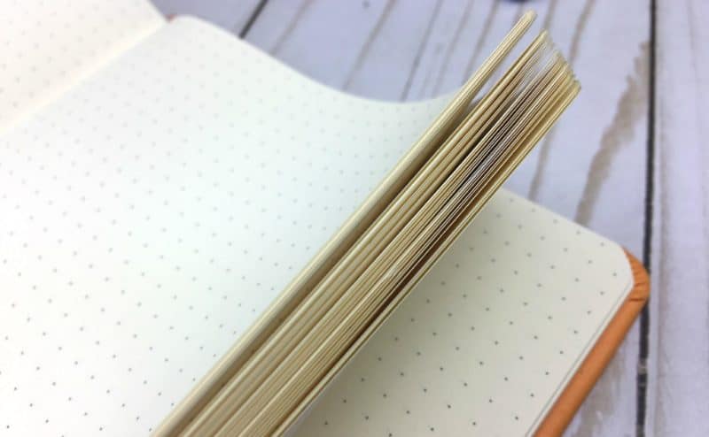 Rhodiarama Softcover Notebooks
