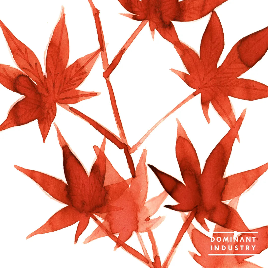 Dominant Industry – No. 108 Maple (25mL)