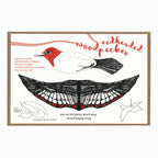 Pop-Out 3D Card – Woodpecker