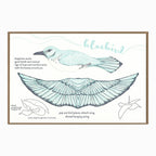 Pop-Out 3D Card – Bluebird