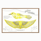 Pop-Out 3D Card – Warbler