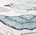 Pop-Out 3D Card – Bluebird