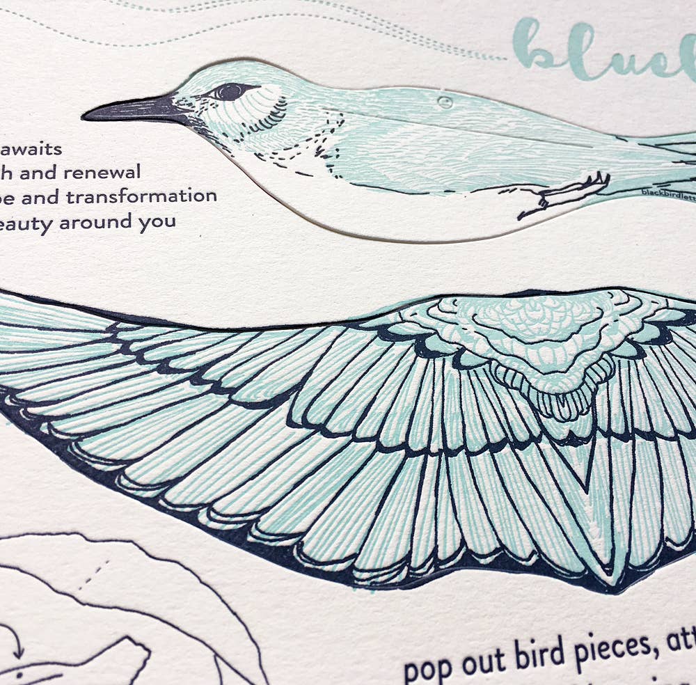 Pop-Out 3D Card – Bluebird