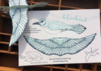 Pop-Out 3D Card – Bluebird