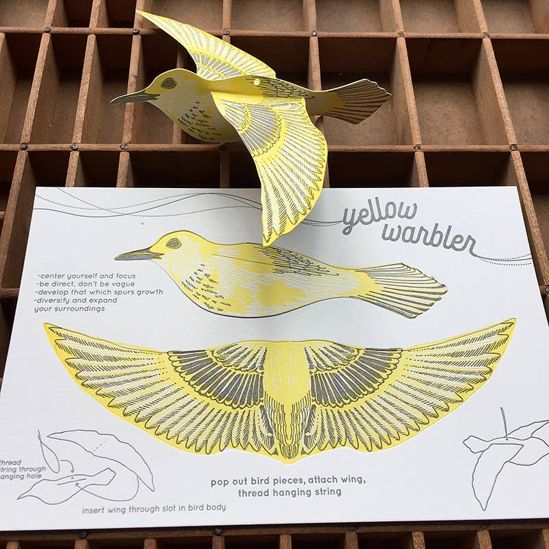 Pop-Out 3D Card – Warbler