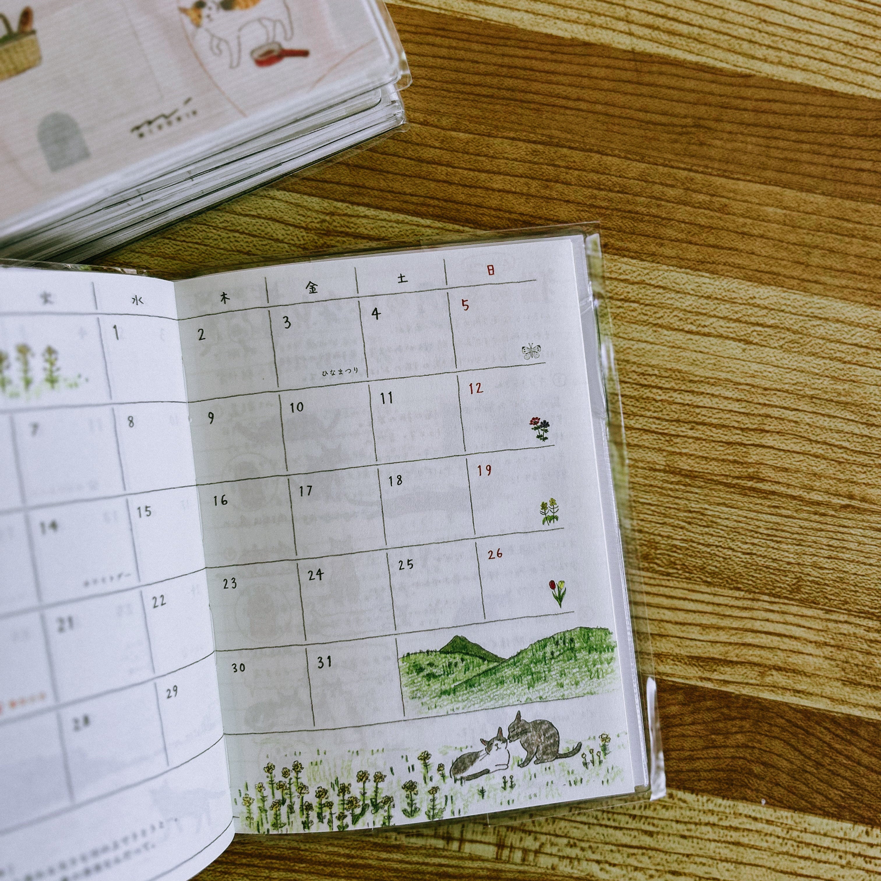 Midori Pocket Diary 2027 – A6 CAT