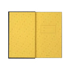 Midori 1 Day 1 Page Diary – Star (368 days)