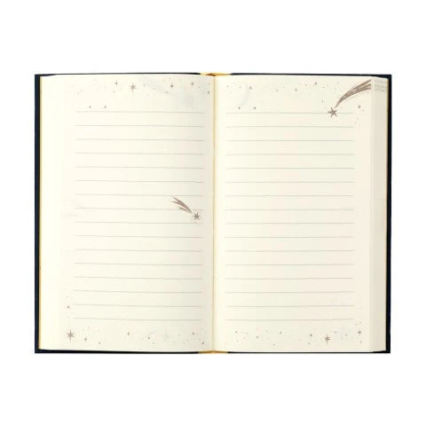 Midori 1 Day 1 Page Diary – Star (368 days)
