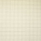 Yamamoto Paper Ro-Biki Notebook – Burnt Orange (2mm grid)
