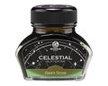 Celestial Glitter Fountain Pen Ink – Gaia's Grove