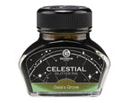 Celestial Glitter Fountain Pen Ink – Gaia's Grove