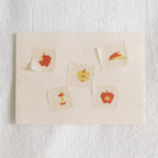 Apples Washi Tape – Illust.12