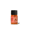 Ferris Wheel Press Bottled Ink – Lantern Crossing