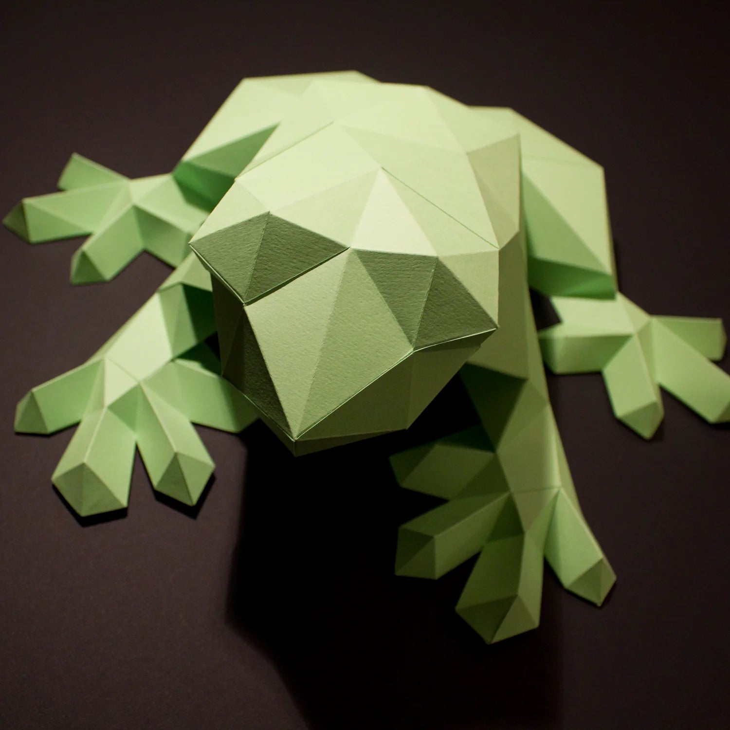 Daruis the Frog – DIY Papercraft Kit