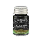Celestial Glitter Fountain Pen Ink – Gaia's Grove