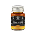 Celestial Glitter Fountain Pen Ink – Helios’ Glow