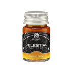 Celestial Glitter Fountain Pen Ink – Helios’ Glow