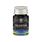 Celestial Glitter Fountain Pen Ink – Neptune's Crown