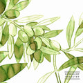 Dominant Industry – No. 124 Olive Grove (25mL)