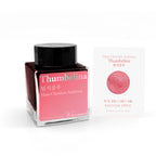 A bottle of Thumbelina ink by Hans Christian Andersen with a black cap and pink label, shown next to a white product card displaying the ink color swatch on a clean white background.