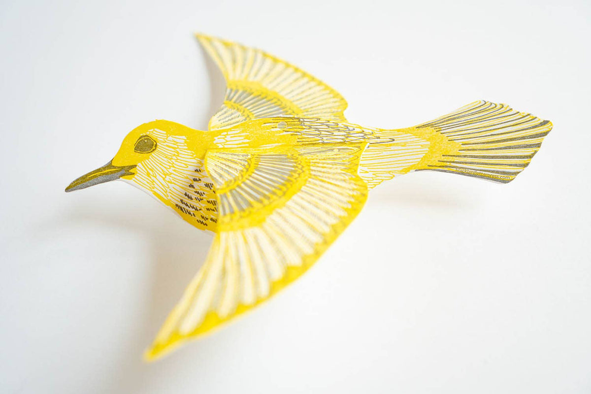 Pop-Out 3D Card – Warbler