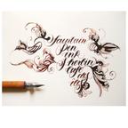 Brause #76 Rose Flexible Calligraphy Dip Nib